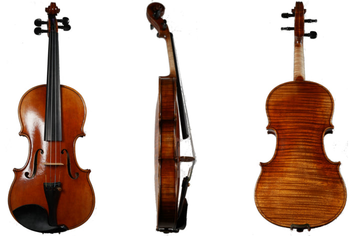 'Meaux Stepup' Violin aka Acoustic Encabulator